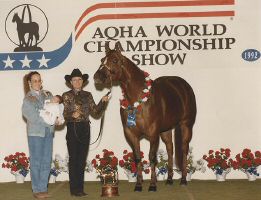 ROCK MY FANCY-1992 Amateur 3 year old mares.jpg